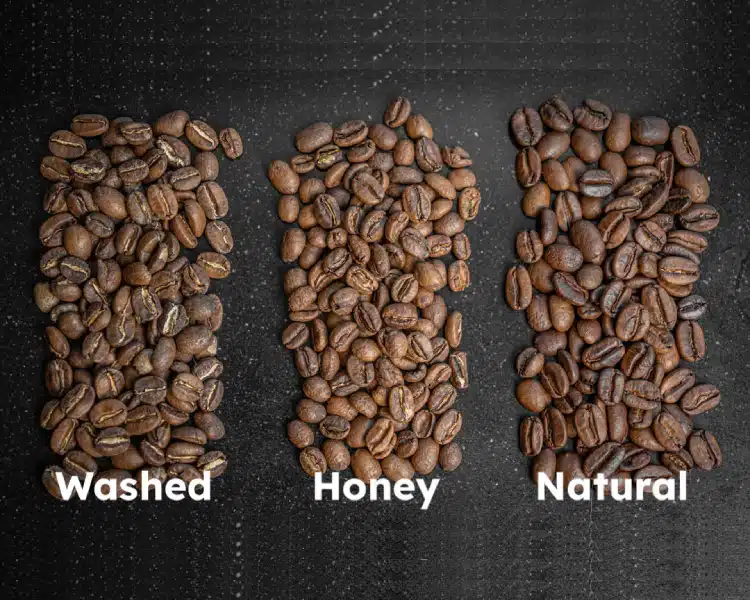 Coffee Processing Methods, Explained: Washed vs Natural vs Honey